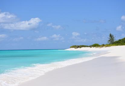 A Découvrir aux Seychelles - Bird Island