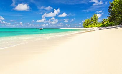 Denis Island A Découvrir aux Seychelles - Denis Island