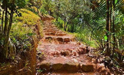 Praslin - Vallée de Mai A Découvrir aux Seychelles - La Vallée de Mai