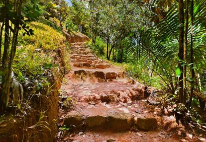 A Découvrir aux Seychelles - La Vallée de Mai