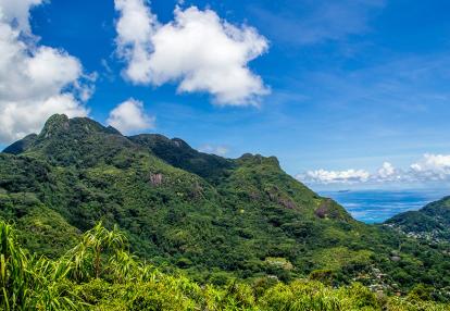 A Découvrir aux Seychelles - Le Parc national du Morne Seychellois