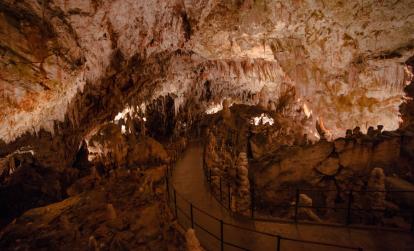 A Découvrir en Slovénie - Grottes de Postojna