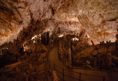 A Découvrir en Slovénie - Grottes de Postojna