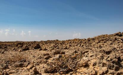 A Découvrir au Sultanat d'Oman : Le Parc National de Jiddat al Harasis