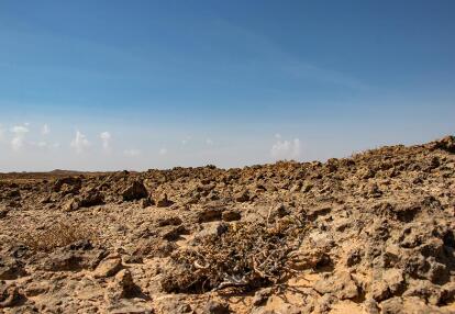 A Découvrir au Sultanat d'Oman : Le Parc National de Jiddat al Harasis