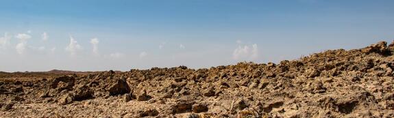 Parc National de Jiddat al Harasis