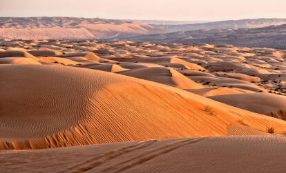 A Découvrir au Sultanat d'Oman - Le désert rouge de Wahiba