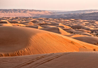 A Découvrir au Sultanat d'Oman - Le désert rouge de Wahiba