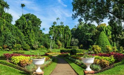A Découvrir au Sri Lanka - Le Jardin botanique de Peradeniya