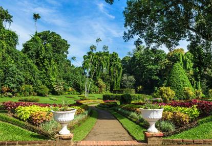 A Découvrir au Sri Lanka - Le Jardin botanique de Peradeniya