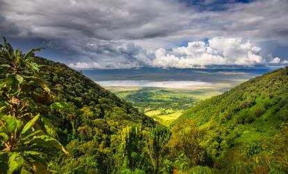 Ngorongoro A Découvrir en Tanzanie - Le Cratère du Ngorongoro