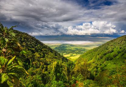 A Découvrir en Tanzanie - Le Cratère du Ngorongoro