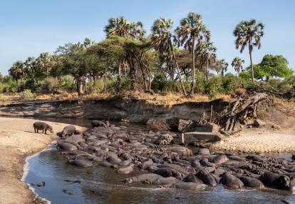 A Découvrir en Tanzanie - Le Parc National de Katavi