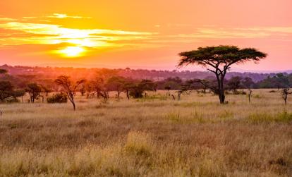 Parc National du Serengeti A Découvrir en Tanzanie - Parc National du Serengeti