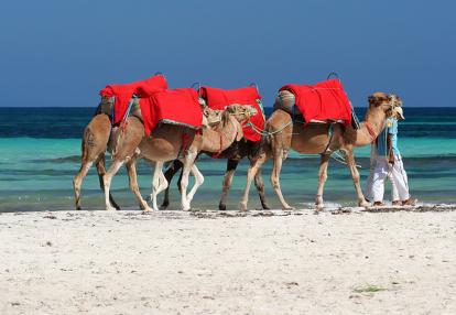 A Découvrir en Tunisie - Djerba