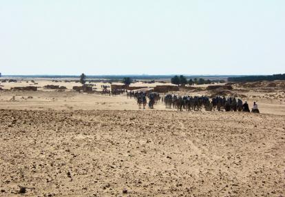 A Découvrir en Tunisie - Gabès