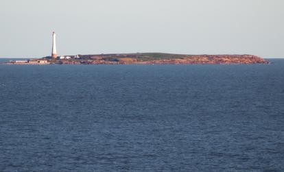 Isla de los lobos A Découvrir en Uruguay - Isla de los lobos