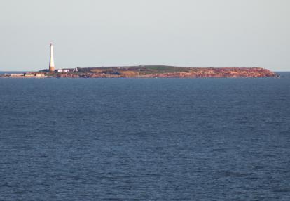 A Découvrir en Uruguay - Isla de los lobos