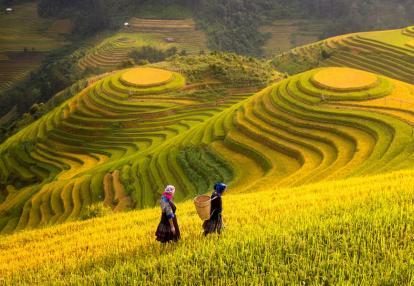 A Découvrir au Vietnam - Sapa