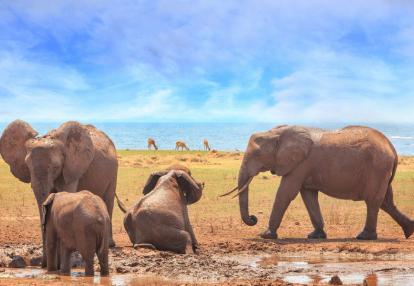 Parc National Matusadona A découvrir au Zimbabwe - Parc National Matusadona