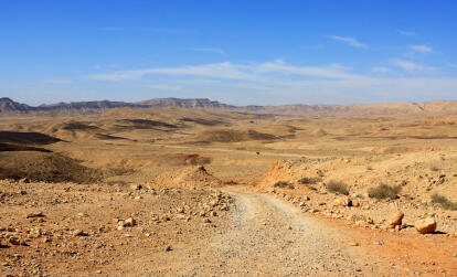 A Découvrir en Israël - Le Désert du Néguev