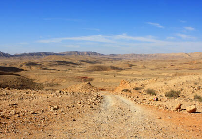 A Découvrir en Israël - Le Désert du Néguev