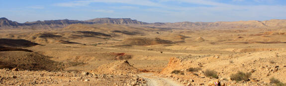 Désert du Néguev