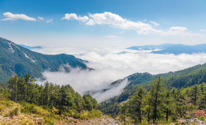 A Découvrir à Taïwan - Le Parc National de Yushan