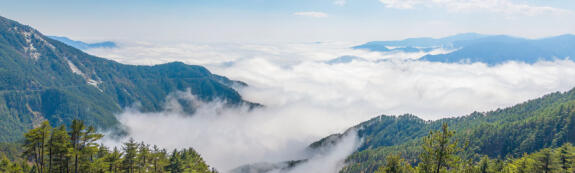Parc National de Yushan