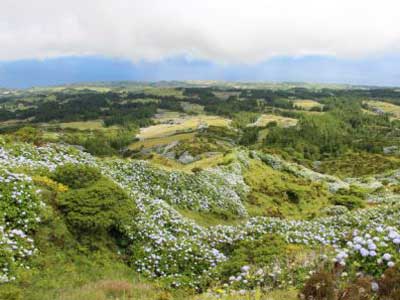 Voyage aux Açores de la Famille de Nadine