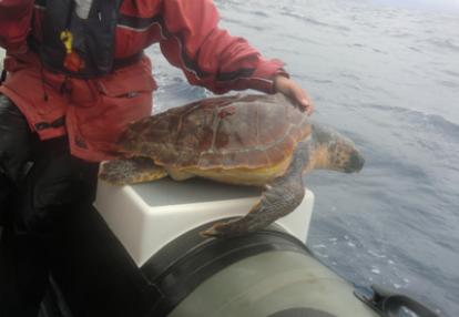 Voyage aux Açores de Josiane et Claude