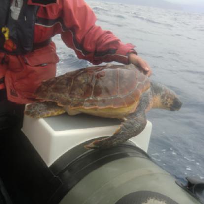 Voyage aux Açores de Josiane et Claude