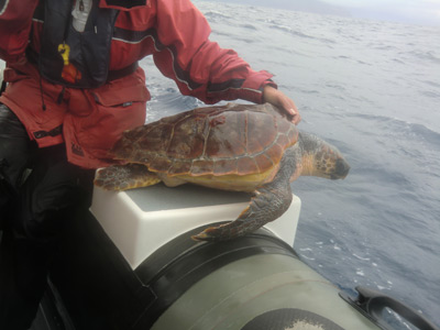 Voyage aux Açores de Josiane et Claude