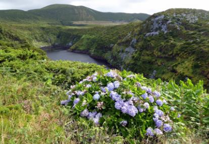 Voyage aux Açores de Lydie