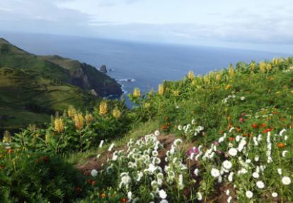 ©Lydie L. - Tous Droits réservés Voyage aux Açores de Lydie