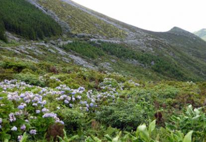 Voyage aux Açores de Lydie