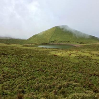 Voyage aux Açores d'Yvette