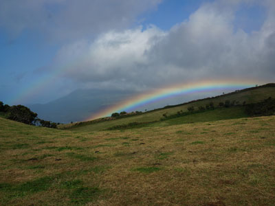 Voyage aux Açores d'Aline