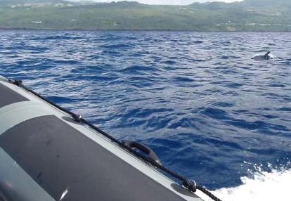 ©Francy J. - Tous Droits réservés Voyage aux Açores de Francy
