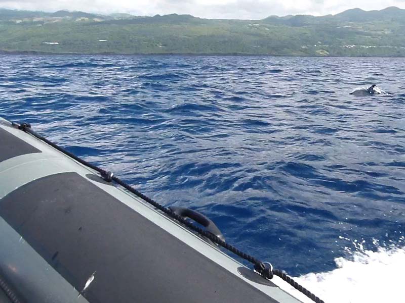 Voyage aux Açores de Francy