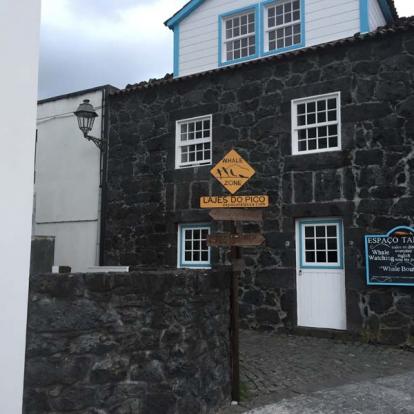 Voyage aux Açores de Francy