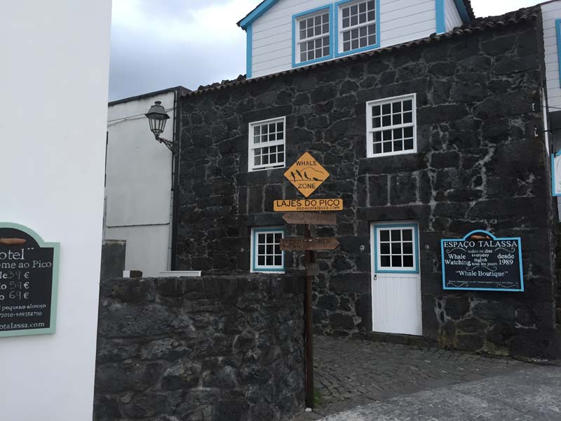 Voyage aux Açores de Francy