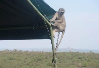 Voyage en Afrique du Sud d'Agnès