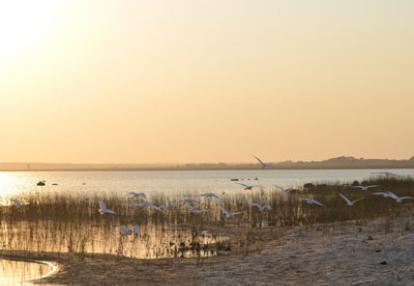 Safari en Afrique du Sud de Laurent