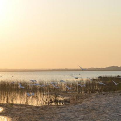 Safari en Afrique du Sud de Laurent