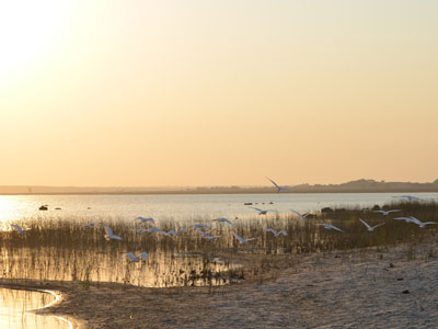 Safari en Afrique du Sud de Laurent