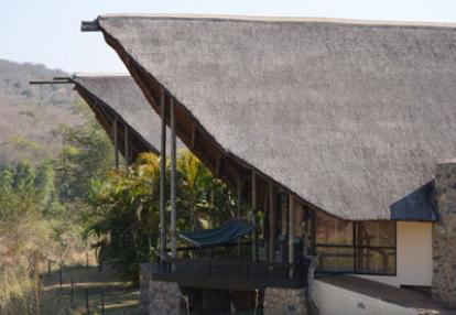 Safari en Afrique du Sud de Laurent