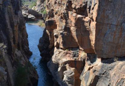 Safari en Afrique du Sud de Laurent