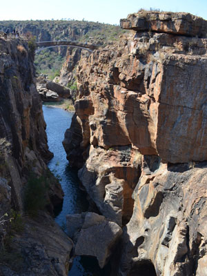 Safari en Afrique du Sud de Laurent