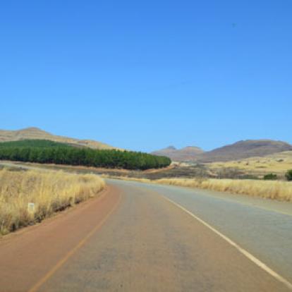 Safari en Afrique du Sud de Laurent
